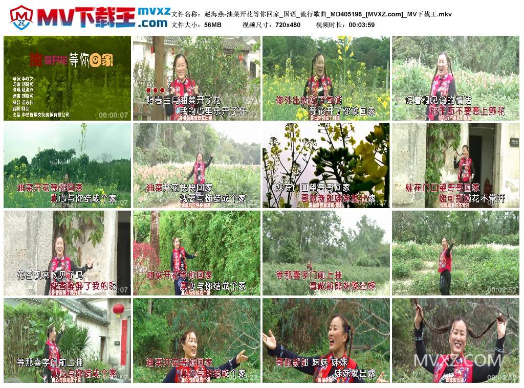 赵海燕-油菜开花等你回家_国语_流行歌曲_MD405198